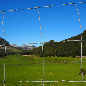 Fourniture directe d'usine bon prix pour tuyau rond ovale carré en métal Tube bovins moutons cheval clôture de cour clôture de ferme - Product Image 1