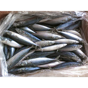 أفضل الأسماك في الشرق الأوسط-بيع بالجملة لسوق الشرق الأوسط والمطاعم ومحلات السوبر ماركت-شهادة الحلال - Product Image 2