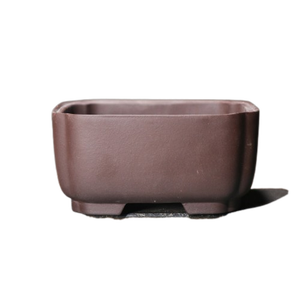<b>Square</b> Zisha Bonsai Pot Chamfered Corners Trough Shape Mi Tao Xiang Desktop <b>Planter</b> - Product Image 5