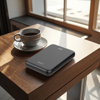 Precio de fábrica de fabricación Paquete de energía delgada LCD Digital Precio al por mayor Carga rápida personalizada PD 20W 10000mAh Banco de energía
