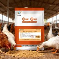 Aliment de qualité supérieure LIBON, prémélange pour poules pondeuses, aliment pour la croissance des volailles, améliorant la santé intestinale, améliorant la qualité des œufs, poulet