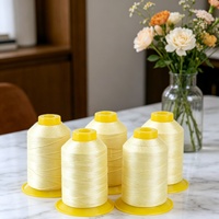 Filament de Para-Aramide 1414 Haute Ténacité en Gros, Service de Deniers Personnalisés pour Applications Textiles Industrielles