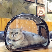 Offre Spéciale pliable et portable en plastique souple pour animaux de compagnie, sac à dos transparent pour chat, approuvé par les compagnies aériennes, vente en gros