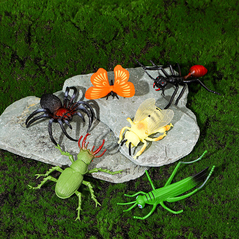 Fun and Creativity with Plastic Beetle Toys for Kids