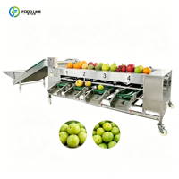 Handige kleine handmatige fruit sorteermachine voor huishoudelijk gebruik, geschikt voor komkommers.