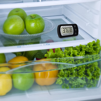 Thermomètre numérique de congélateur avec aimant et crochet pour réfrigérateur domestique – Meilleure vente