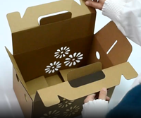 Boîte de culture de champignons avec impression personnalisée, kit de culture de champignons, boîtes en carton, emballage en papier pour la culture de champignons