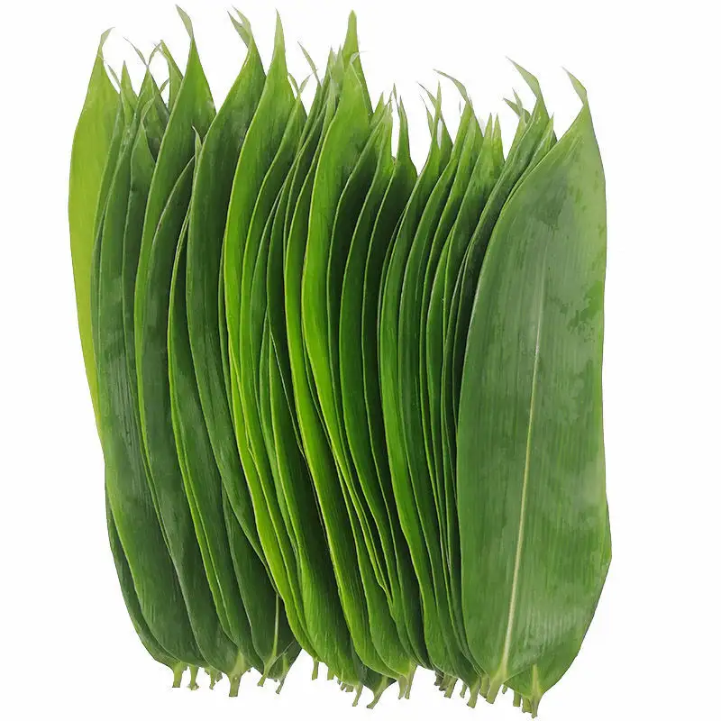 Fresh Reed Leaves Large Sashimi Ornaments For Plate Vacuum Shape Fresh Bamboo Leaves Tray for Roast Cold Dishes