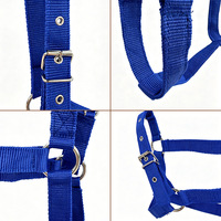 ZJFIT Collier de dressage réglable en nylon pour cheval, équipement équestre, fournitures d'écurie, taille L, origine Sichuan