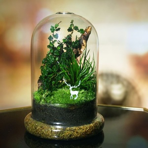 Klares Glas-<span class=keywords><strong>Terrarium</strong></span> Pflanzgefäß mit Kuppel, Luftlöchern & Basis für Gartenpflanzen - Handgeblasen, Handgefertigt, Umweltfreundlich - Product Image 5