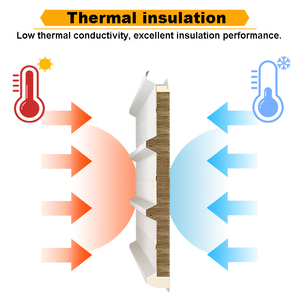 Panel de Acero <span class=keywords><strong>Sandwich</strong></span> Muro y <span class=keywords><strong>Teja</strong></span> con PIR PU para Techos de Cámaras Frigoríficas y Paredes de Hotel - Product Image 5