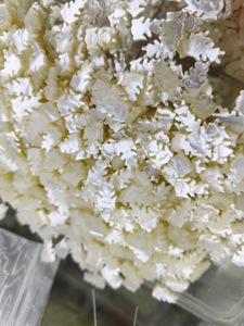 Carino giallo bianco nero madreperla involucro inciso per bambine ciondolo gioielli fai da te con perline - Product Image 2