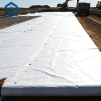 Toile paysagère non tissée blanche en PET Spunbond anti-mauvaises herbes pour la construction routière au Chili
