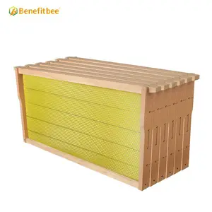 Cadre de ruche pour apiculture, usine OEM, cadre filaire avec cire d'abeille