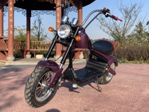 Vélo électrique chinois pour adultes, 60V 20AH 2000W, en promotion depuis notre entrepôt européen - Product Image 5