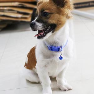 Collier pour animal de compagnie en Nylon, gravé gratuitement, étiquettes pour collier pour chien - Product Image 2