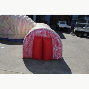 Modelo Anatómico Inflable Gigante <span class=keywords><strong>de</strong></span> Estómago en Tela Oxford para Exhibición Educativa sobre Salud Digestiva - Product Image 2