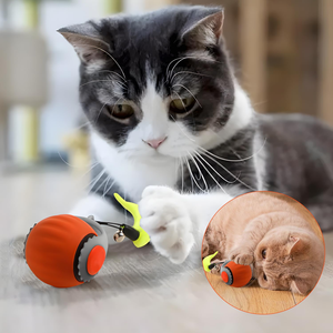 Nouvelle balle de jeu pour chien et chat avec clochette, balle roulante élastique en silicone, jouet intelligent interactif pour animaux de compagnie, jouet sportif pour chien et chat - Product Image 3