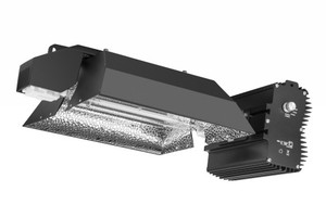 2026 longood Nhà máy cung cấp trực tiếp ETL DLC CE TUV 240V 400V Hps phát triển ánh sáng 1000W - Product Image 2