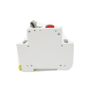 A9s61220 20a 250v Nsnp New Original Ready Stock Automation Plc - Product Image 1