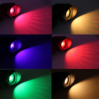 Transformateur d'éclairage paysager LED en aluminium étanche IP65 Alison pour jardin, pelouse, mur, arbre, projecteur avec support à long piquet