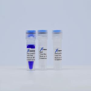 Endonucleasa de restricción Tinzyme SpeI 50l/vial 99% de pureza para digestión enzimática rápida de plásmidos, ADN, productos de PCR y ADN genómico - Product Image 1