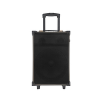 Subwoofer Trolley Kayu 12-Inci Grosir OEM LED Satu Warna 50W HIFI untuk Baterai Isi Ulang Dual Full-Range