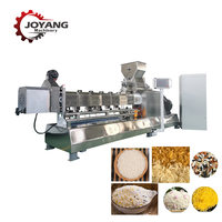 Ligne de production automatique de gâteaux de riz, ligne de traitement de riz enrichi, extrudeuse à double vis, prix usine