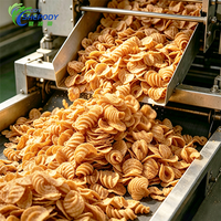 Chaîne de production de chips tortillas soufflées Shepody 300kg/h 500kg/h, machine/ligne de friture pour chips de pommes de terre, riz croustillant et cercles de tomates