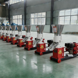 Macchina per Pellet Storsen per Uso Domestico, Tensione Personalizzabile 220V/380V, Pelletizzatore Multifunzionale - Product Image 1