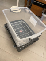 Carretilla de Plataforma de Polipropileno de Cuatro Ruedas OEM Personalizable, Ligera, Duradera, Portátil, Remolque de Carga, Herramientas Plegables, Fácil de Transportar, Azul