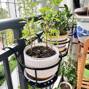 Cesto di fiori appeso per balcone <span class=keywords><strong>in</strong></span> <span class=keywords><strong>ferro</strong></span> <span class=keywords><strong>battuto</strong></span>/ringhiera per piante/portapacchi per porte - Product Image 2