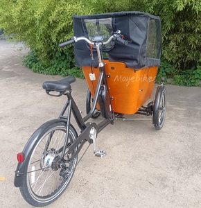 Nouveau design Swing Balance Device Cargo Bike électrique 24 "250w Child <span class=keywords><strong>Transport</strong></span> Cargo Bike électrique Ebike E-cargo Family E Bicycle - Product Image 2