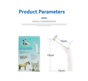 Termômetro Digital Multi-Funcional para Cães Instrumentos Veterinários para Diagnóstico Essencial para Pet Care - Product Image 4