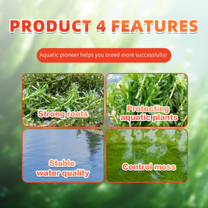 Các nguyên tố vi lượng ngăn ngừa lão hóa rễ giúp rễ cây thủy sinh bảo tồn nước và cỏ - Product Image 6