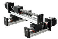 Sistem Robot Aktuator Linear Ball Screw Gantry CNC Motorized Xyz Tugas Berat Kustom dengan Meja Geser Guideway 300mm hingga 4000mm