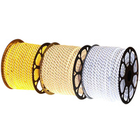 Lampu Strip LED Tahan Air IP67 110V 220V Ukuran 10mm Pilihan Multi-Warna untuk Lanskap & Dekorasi Luar Ruangan Smd2835