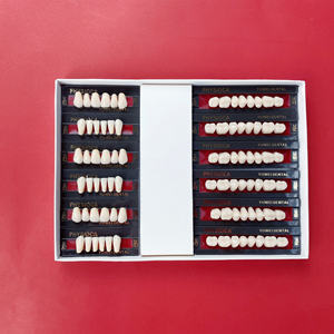 Vendita calda 3 strati effetto YUWEI denti 28*1*4 dentiera denti finti laboratorio di attrezzature odontoiatriche per protesi - Product Image 6