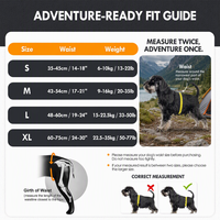 Harnais de soutien orthopédique pour chien, pour IVDD, arthrite, rééducation, élingue de levage pour animaux, escalier, voiture, en polyester de qualité médicale durable PETSGUARD