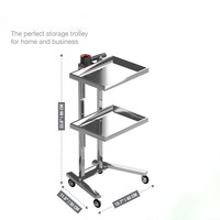 Chariot médical en acier inoxydable avec plateaux pliables et roulettes, chariot à outils de coiffure pour cliniques dentaires