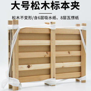 Juego completo de clips de madera para especímenes, clips para plantas, tiras de madera con papel absorbente, 30*40cm - Product Image 2