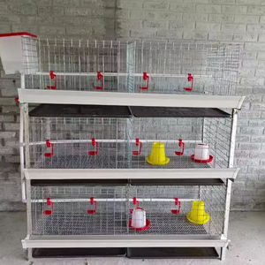 <span class=keywords><strong>Cage</strong></span> à Poulets de Chair de Haute Qualité en Batterie Type H, en Fer Galvanisé, Entièrement Automatique, pour Gros et Petits Animaux, à Vendre - Product Image 1