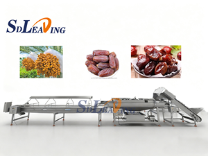 Ligne de traitement des dattes avec machine de pesage, de lavage et de séchage - Product Image 3
