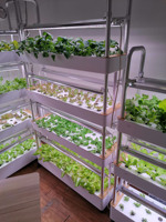Petite serre verticale d'intérieur avec système hydroponique pour la culture de légumes, cubes d'éponge