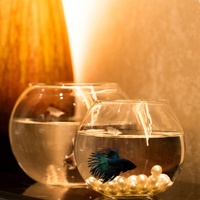 Aquarium en verre transparent circulaire miniature pour poissons rouges, poissons combattants, tortues, art, bureau, maison, petit salon