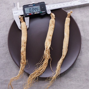 Thuốc Thảo Dược Trung Quốc Chất Lượng Cao Panax Ginseng Root Renshen - Product Image 2