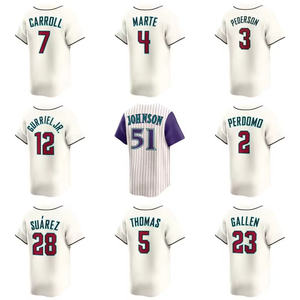Maillot de baseball City Connect violet vierge personnalisable pour homme, uniforme de supporter sportif brodé, vente en gros - Product Image 1
