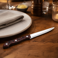 Couteau à viande dentelé en acier inoxydable OEM avec manche en plastique pour la cuisine