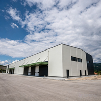 Almacén de Estructura de Acero, Centro de Logística de Transporte de Mercancías, Edificio de Almacenamiento con Estructura de Acero Resistente