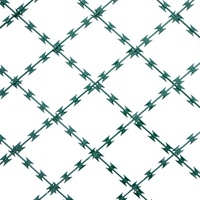 Clôture soudée de panneau de grille de rasoir de maille de rasoir